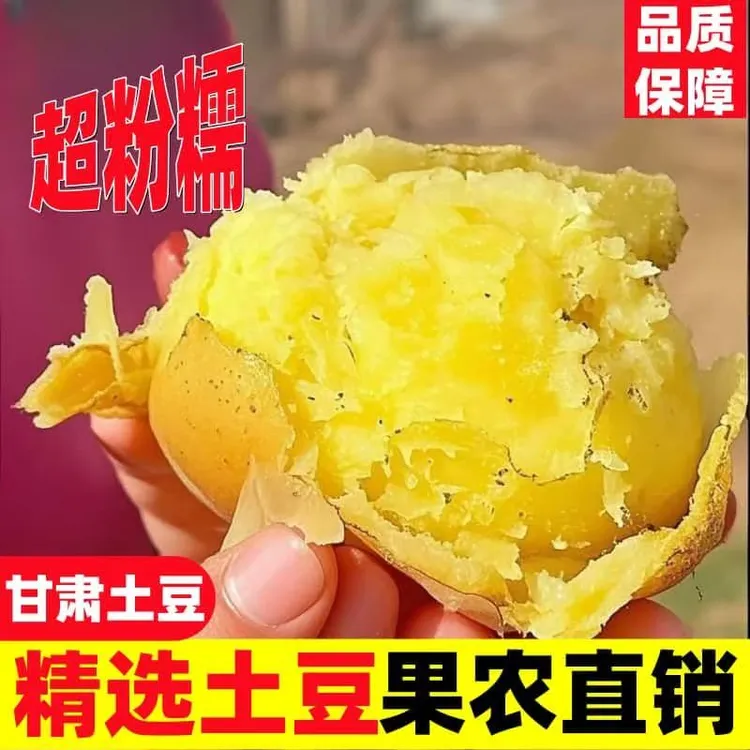 甘肃定西高山旱沙地土豆 粉糯面沙洋芋