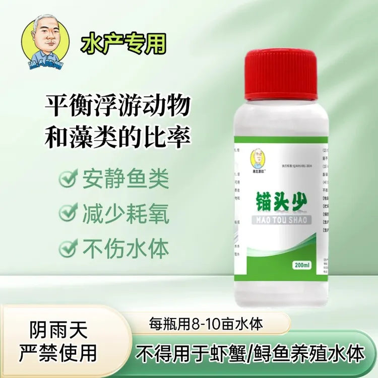 渔人陈刚锚头少安静鱼类水产养殖平衡浮游动物和藻类的比率不伤水