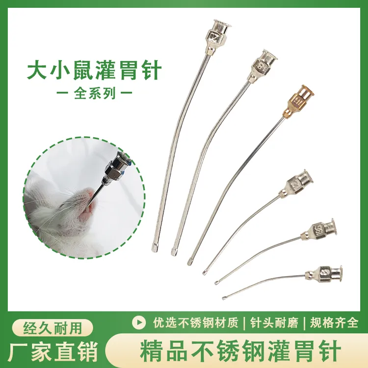 精品不锈钢灌胃针不锈钢灌胃器鼠针8号12号16号直针弯针