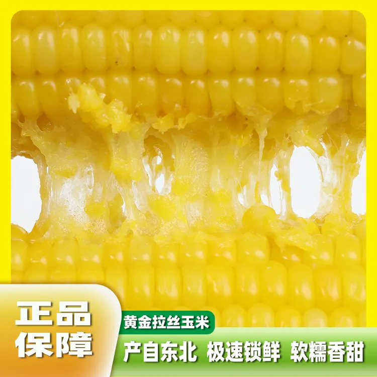 拉丝玉米粒鲜嫩甜玉米水果甜玉米棒段开袋即食真空代餐饱腹