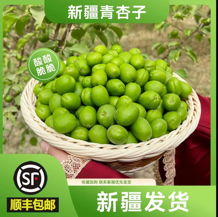 新疆小青杏酸杏纯酸孕妇水果新鲜时令现摘杏子酸脆鲜绿杏产地直发
