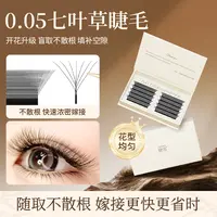 七叶草睫毛升级大花CD欧美浓密不散根新款种植睫毛嫁接假睫毛大盒