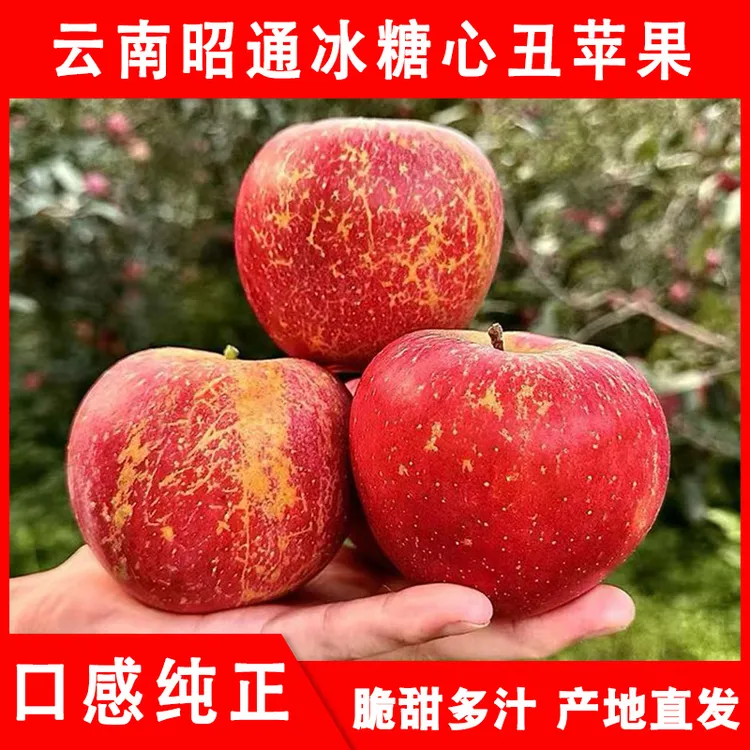 正宗云南昭通冰糖心丑苹果当季新鲜脆甜多汁产地直发5/10斤包邮