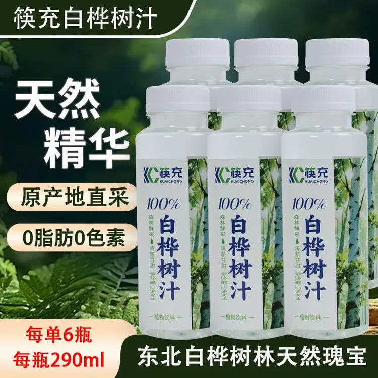 白桦树汁原汁清爽低卡植物饮料不加一滴水4箱更合适