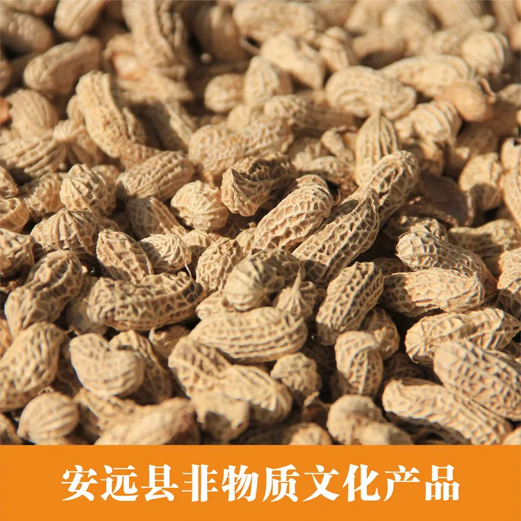 江西安远县长沙乡农家原始种植的细籽花生生鲜2斤包邮