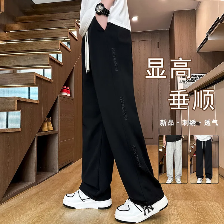 2025秋季新款男士休闲裤韩版时尚潮流学院风百搭学生宽松直筒长裤