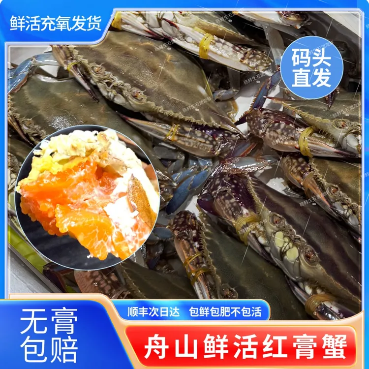 【4-5两左右/只】【充氧】东海舟山红膏梭子蟹 2斤 3斤 【保鲜不保活】
