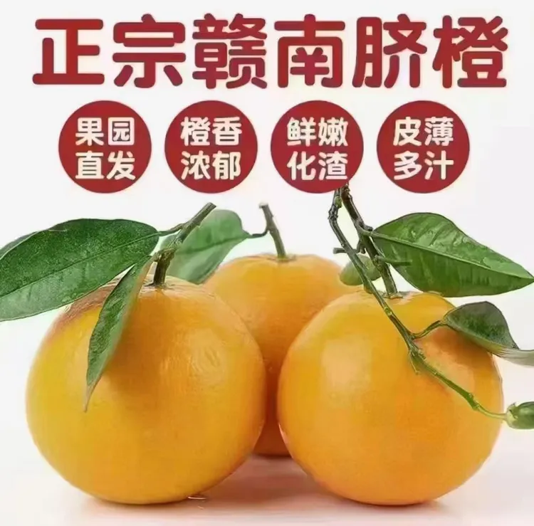 赣南脐橙正宗原产地现摘现发，自然成熟汁多味甜营养丰富橙子