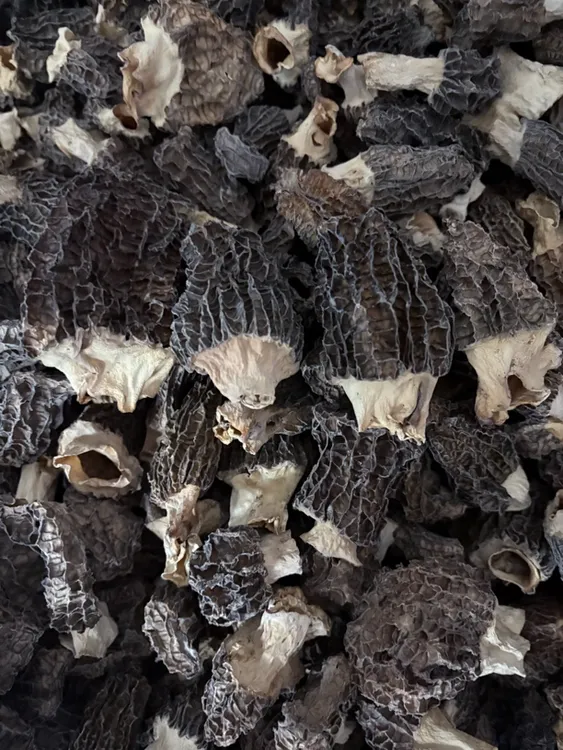 【福利款】25年头茬微瑕个别破损丑六妹羊肚菌高原直播间看货下单