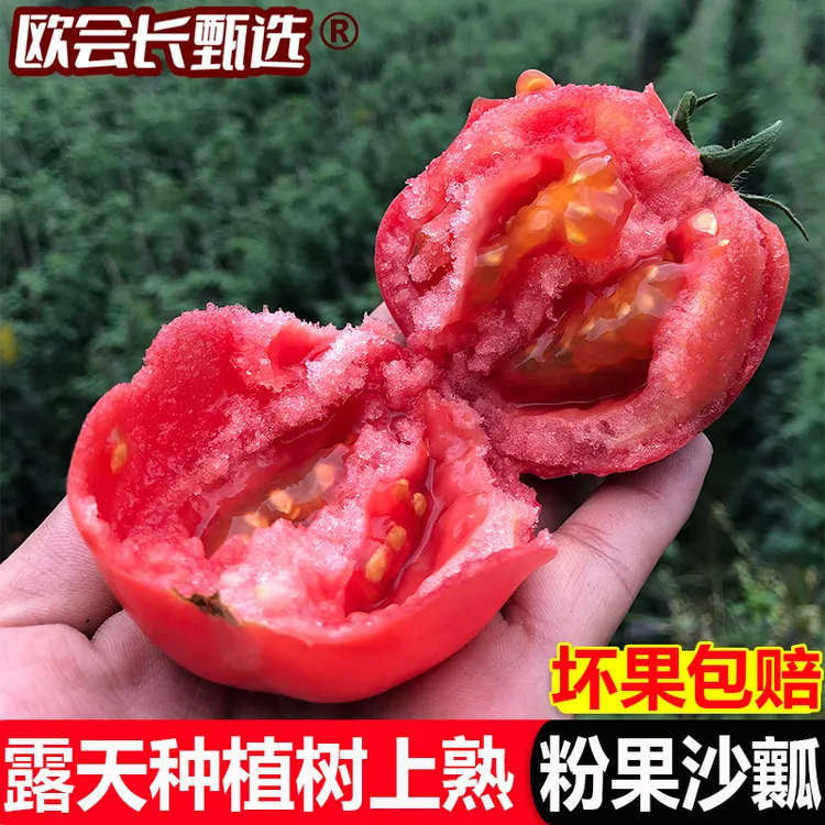 【产地直发】攀枝花高山露天沙瓤西红柿蔬菜水果番茄3斤5斤