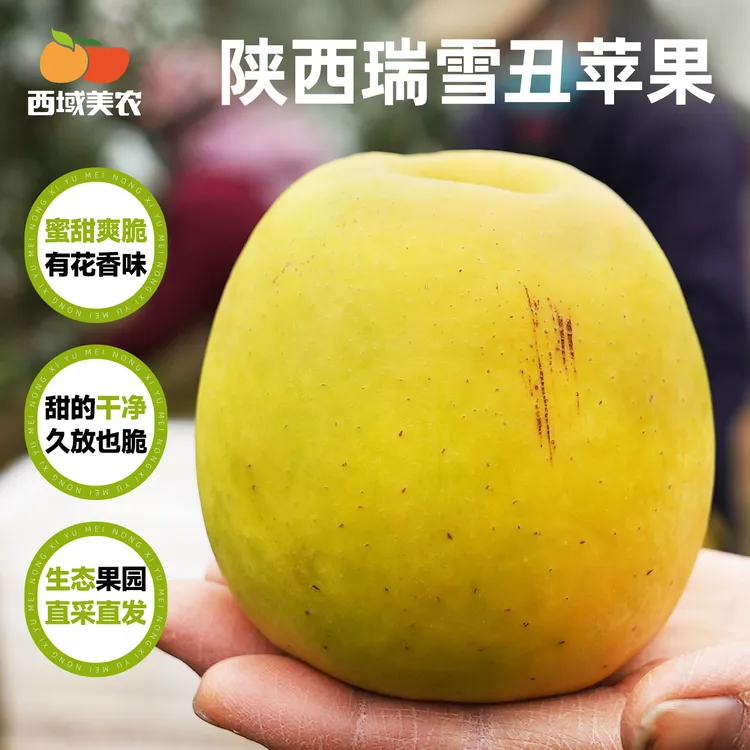 西域美农瑞雪苹果4.5斤晚熟黄苹果鲜甜细腻汁水足不打蜡商品图