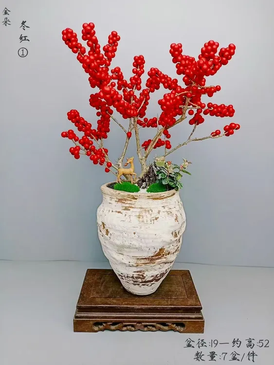 北美冬青室外盆栽冬青盆景老桩盆景红果室内客厅室外冬青盆栽