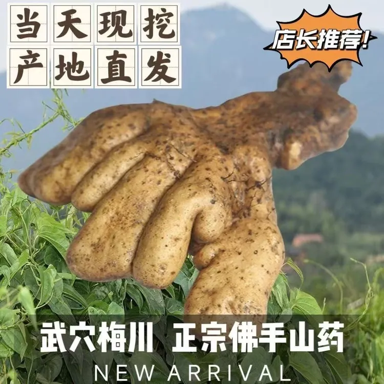 武穴佛手山药新鲜现挖鲜滑粉糯湖北特产百元梅川手掌