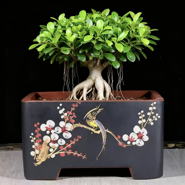 精品四方宜兴紫砂兰花盆老桩盆景盆室内客厅长方马槽花盆长方形