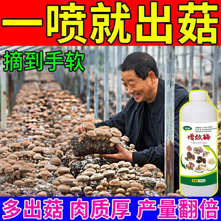 一喷猛出菇】香菇专用肥强力催菇王增效酶香菇菌棒营养液抗病增产
