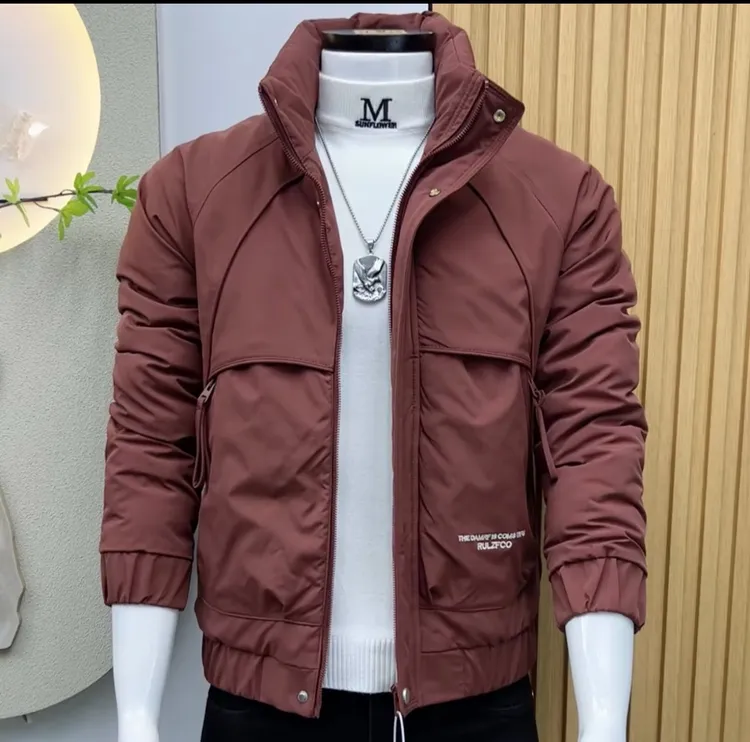外套男冬季棉袄韩版纯色立领男士棉衣加厚保暖网红时尚小伙棉服男