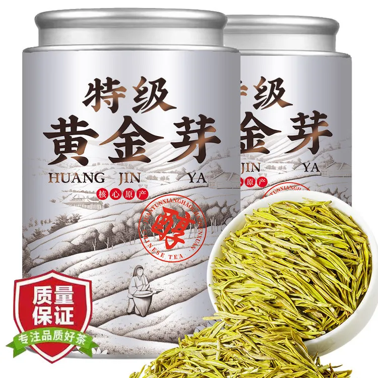 【喷香黄金芽】高山2025绿茶口感鲜爽豆香浓郁耐泡品质茶叶嫩叶罐装