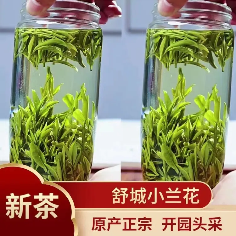 明前安徽舒城小兰花高山绿茶土种浓香口粮茶舒城小兰花高级新茶