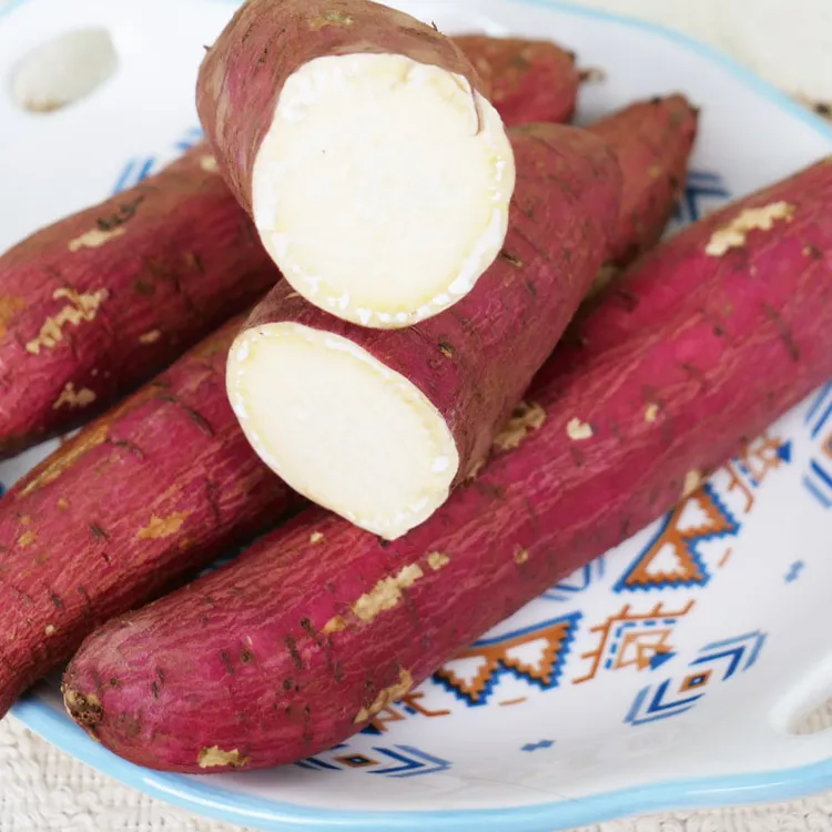 板栗红薯新鲜粉面干甜小香薯番薯烤地瓜现发包邮皮薄粗粮