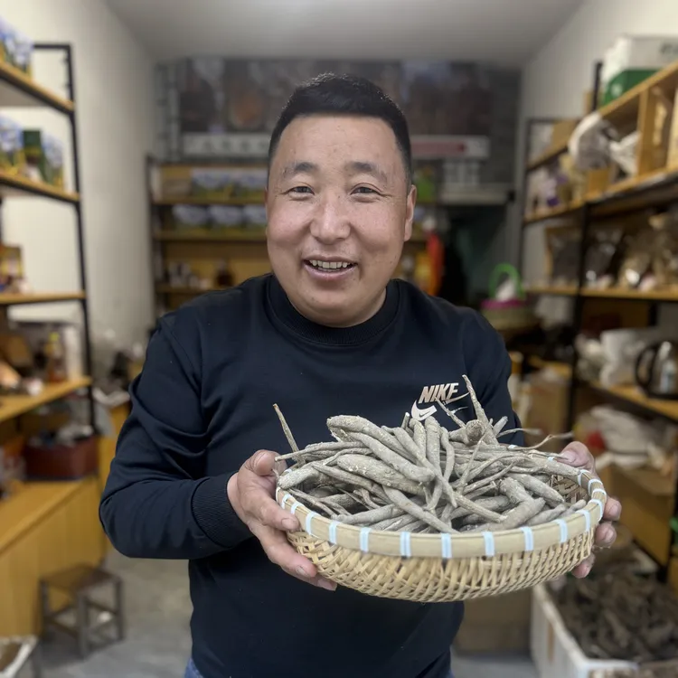 阿坝高原甜当归可炖汤煮水炖鸡炖猪蹄炖排骨