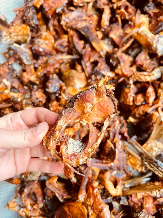 黄尾鱼鱼块干（烟鱼），新鲜江鱼烟熏烘烤干