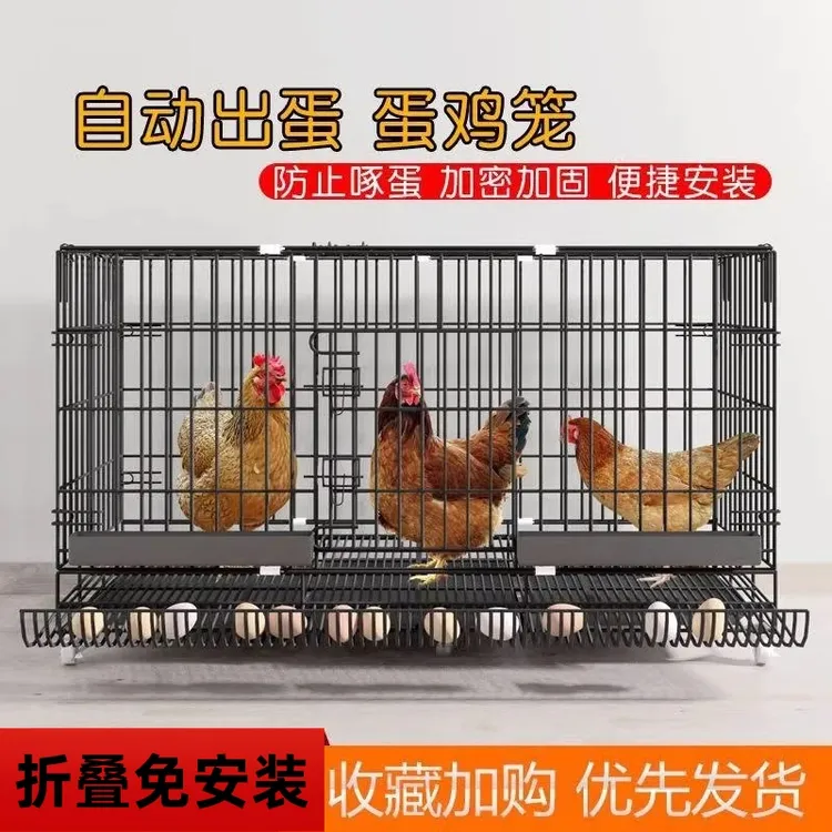 鸡笼子家用室外特大号防雨家用室内农村折叠自动清粪铁丝网养殖笼