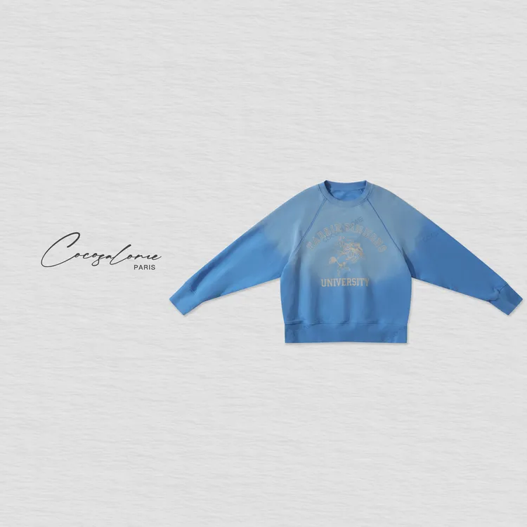 韩彬彬"蓝色渐变"成衣酵洗×精控喷马骝工艺褪色渐变卫衣2060-1