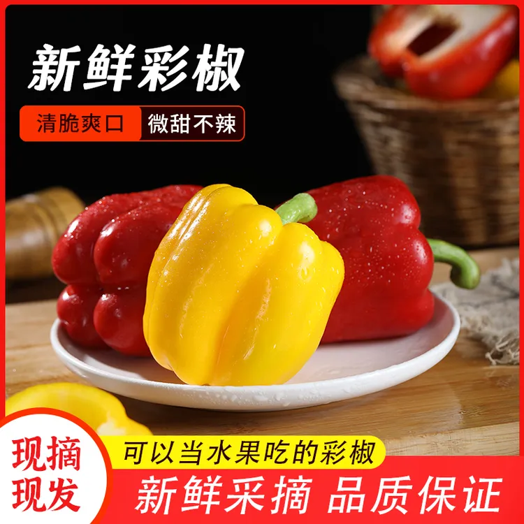 【新鲜直发】山东寿光水果正宗彩椒现摘现发新鲜蔬菜水果生吃不辣