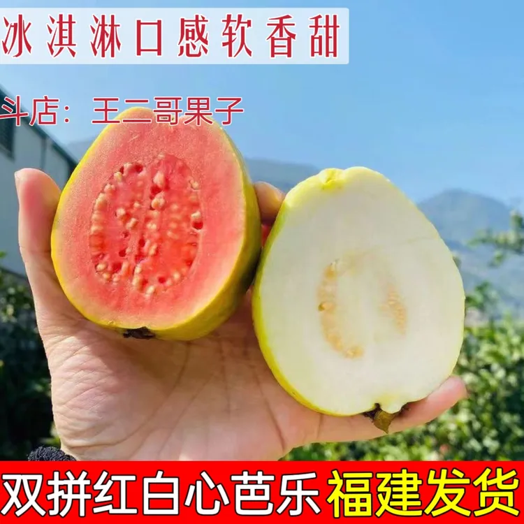 福建奶油芭乐红白双拼软心软糯白心红心芭乐番石榴脆甜鸡屎果批发