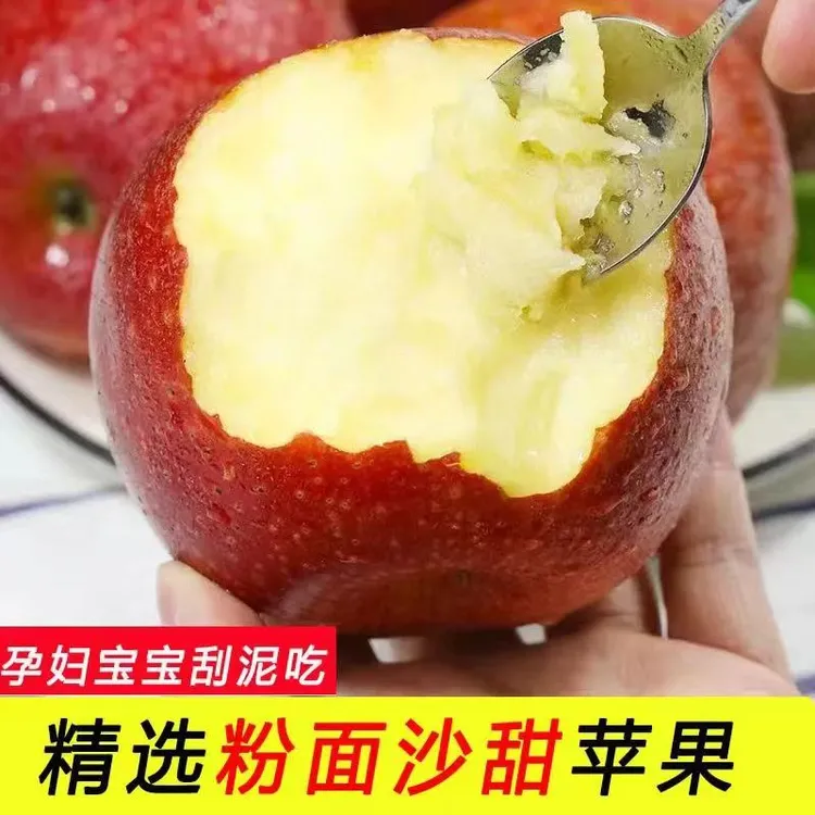 正宗陕西高山粉面纯甜秦冠苹果老品种新鲜老人宝宝刮泥果