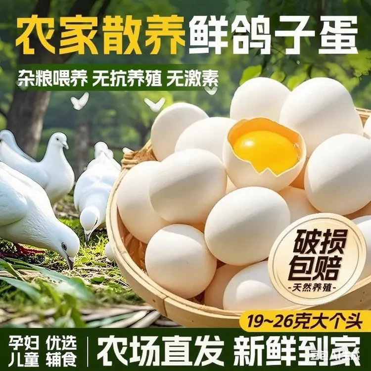 新鲜大个头鸽子蛋正品杂粮鸽蛋农家散养白鸽蛋孕妇宝宝辅食优选