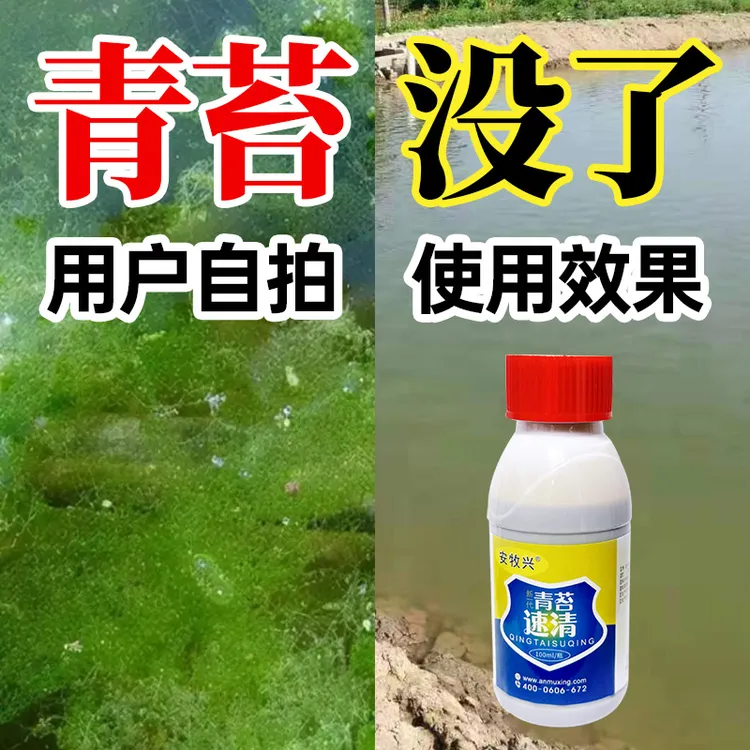 青苔一次净 水产养殖青苔速清 生物分解酶不伤鱼虾水草 净化鱼塘商品图