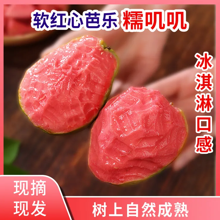 现摘新鲜广西软红心芭乐番石榴芭乐果低糖孕妇水果当季配酸梅粉