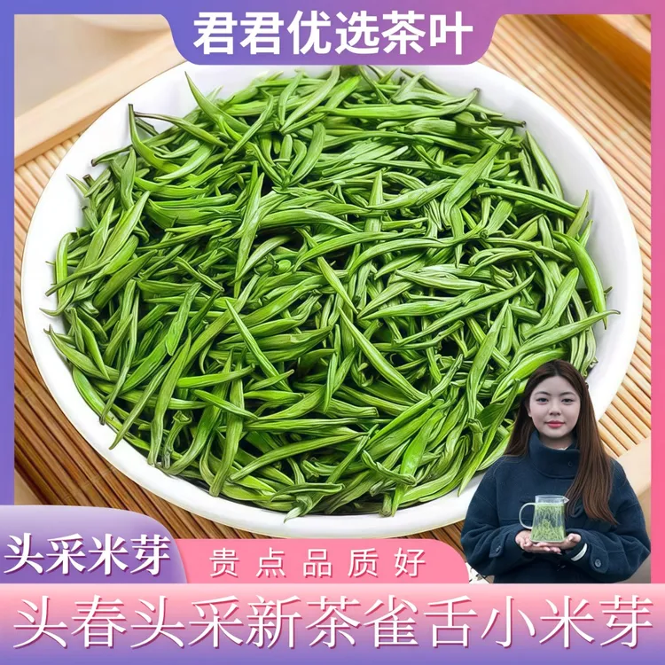 明前特级雀舌浓香型茶叶2025新茶头采雀舌米芽雀舌贵州高山绿茶叶