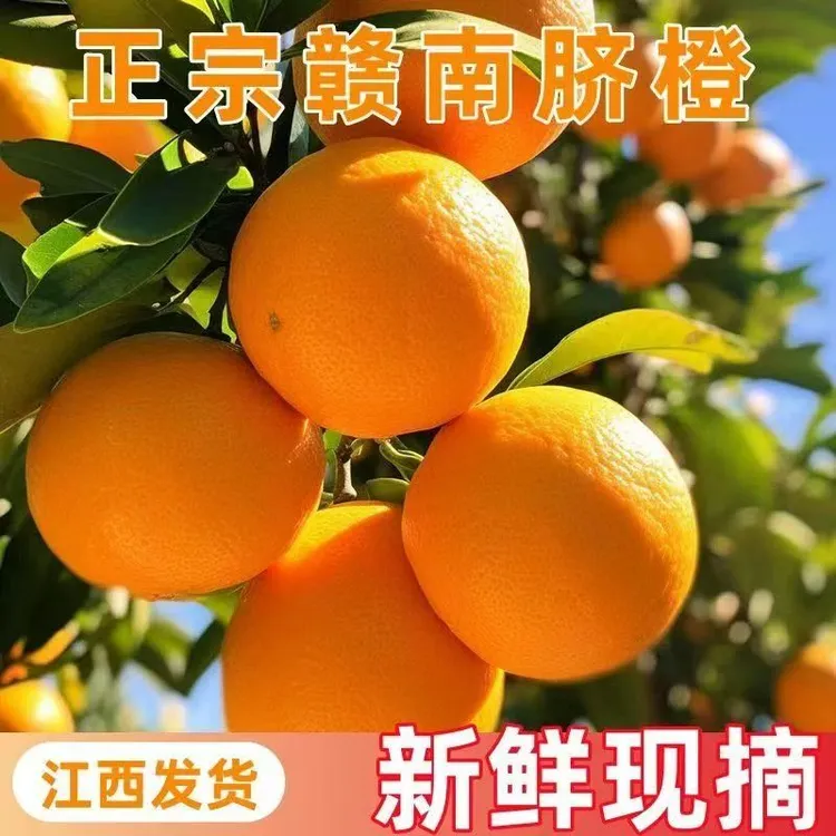 正宗赣南脐橙瑞金黄柏橙子皮薄肉厚水嫩多汁产地直发