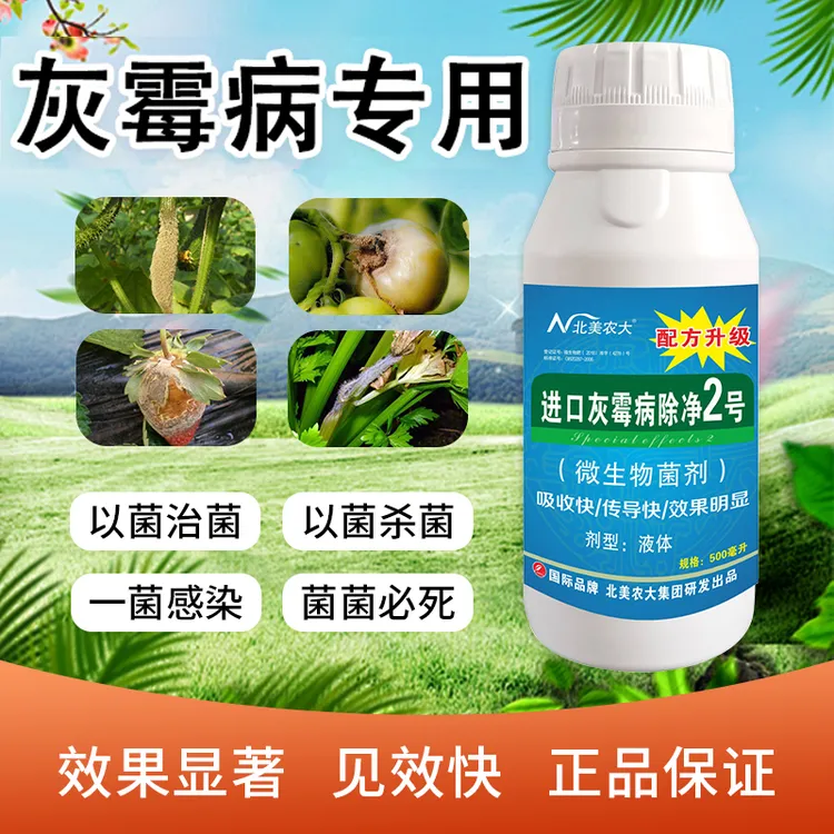 灰霉病专用杀菌剂茄子番茄黄瓜灰霉病防控微生物叶面肥作物通用