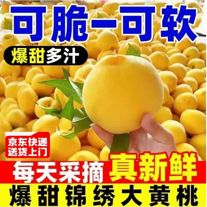 湖北正宗锦绣黄桃4.5斤大果源头产地现摘现发新鲜黄桃应季【直】