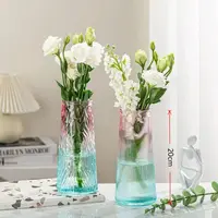 【2只装】大花瓶简约创意透明玻璃花瓶桌面插花家居玫瑰鲜花瓶ins