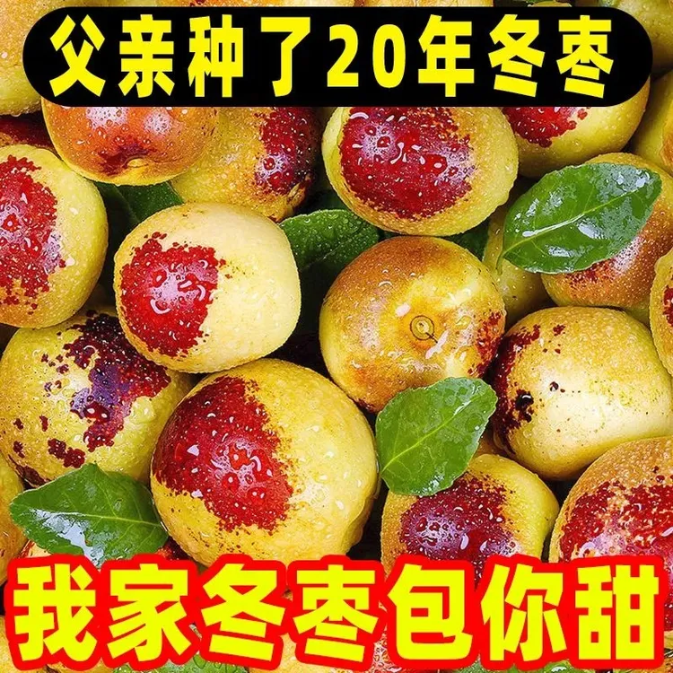 农腾万象坏果包赔山西庙上冰糖冬枣脆甜多汁当季新鲜水果