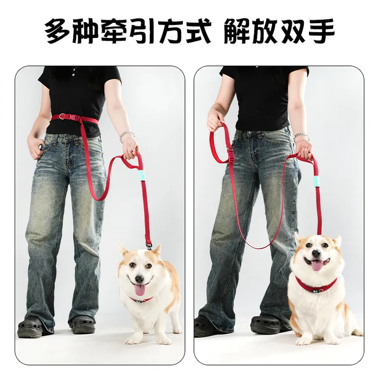 【七彩绳-多功能】狗狗牵引绳防爆冲专业训狗绳适合各犬种遛狗使用
