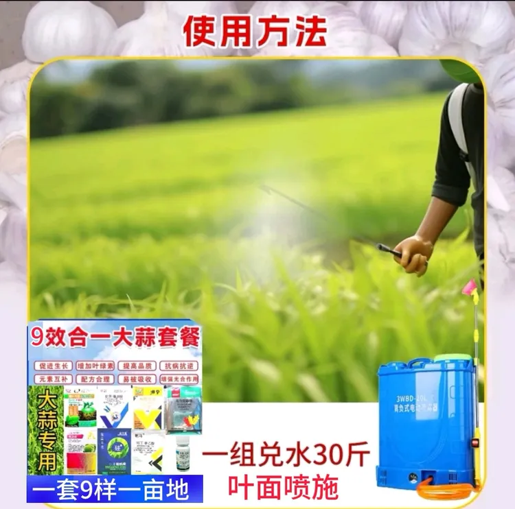 枯黄干尖大蒜生根壮苗防根腐农用种植套餐（拍5发6）