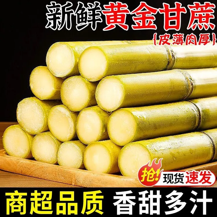 【专属】现砍现发云南版纳黄金甘蔗当季新鲜水果云南甘蔗脆甜多汁