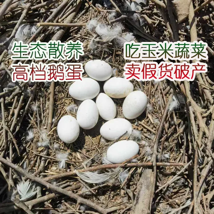 新鲜散养土鹅蛋农家散养12枚单个150克以上(12枚净重1800克)