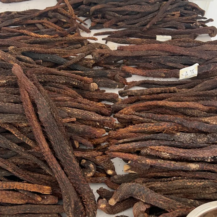 肉 枞 榕内蒙古阿拉善沙漠特产直播间改价链接