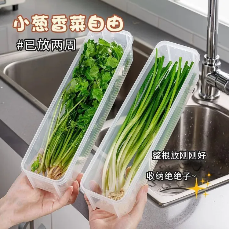 香菜小葱收纳盒冰箱保鲜盒芫荽整根收纳神器面条鸡蛋备菜保鲜密封