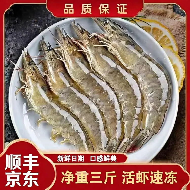 青岛发货大号海虾单只13-16cm,55-65只左右净重3斤活虾速冻4050商品图