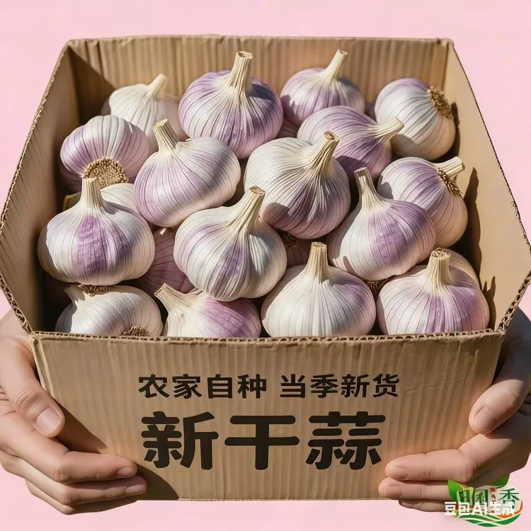 【实惠家庭装】2025年新干蒜蒜农直发紫白皮新鲜全干大蒜头