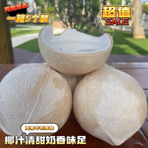 海南文昌椰皇椰青大果清甜椰汁椰肉椰香水果新鲜椰子鲜奶椰奶香味