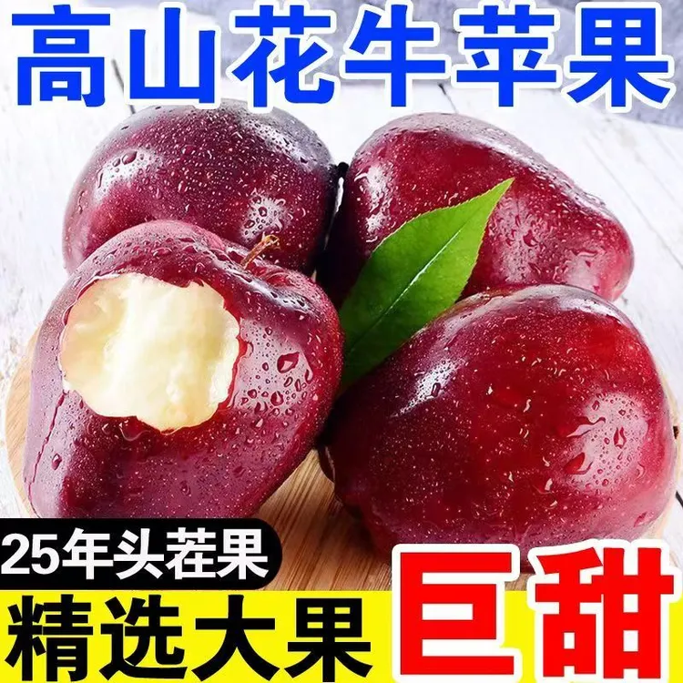 甘肃天水花牛苹果圆花牛脆甜多汁当季水果