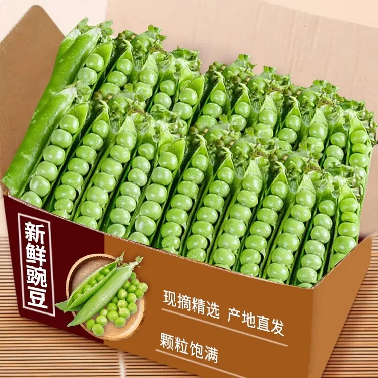 新鲜豌豆现摘带壳甜豌豆荚青豆豌豆米粒河南农家本地蔬菜当季整箱